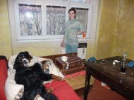 Indy na gau�i odpo��v� - a nep�ek��