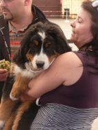 �t���tko ber���ka
